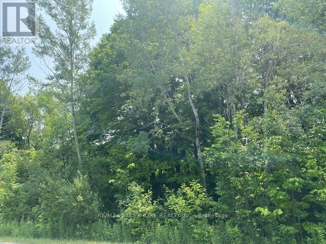 Vacant Land For Sale | A 1 Pipeline Rd | Cramahe | K0K1M0