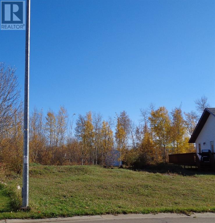 Vacant Land For Sale | 1 Bison Crescent | High Level | T0H1Z0