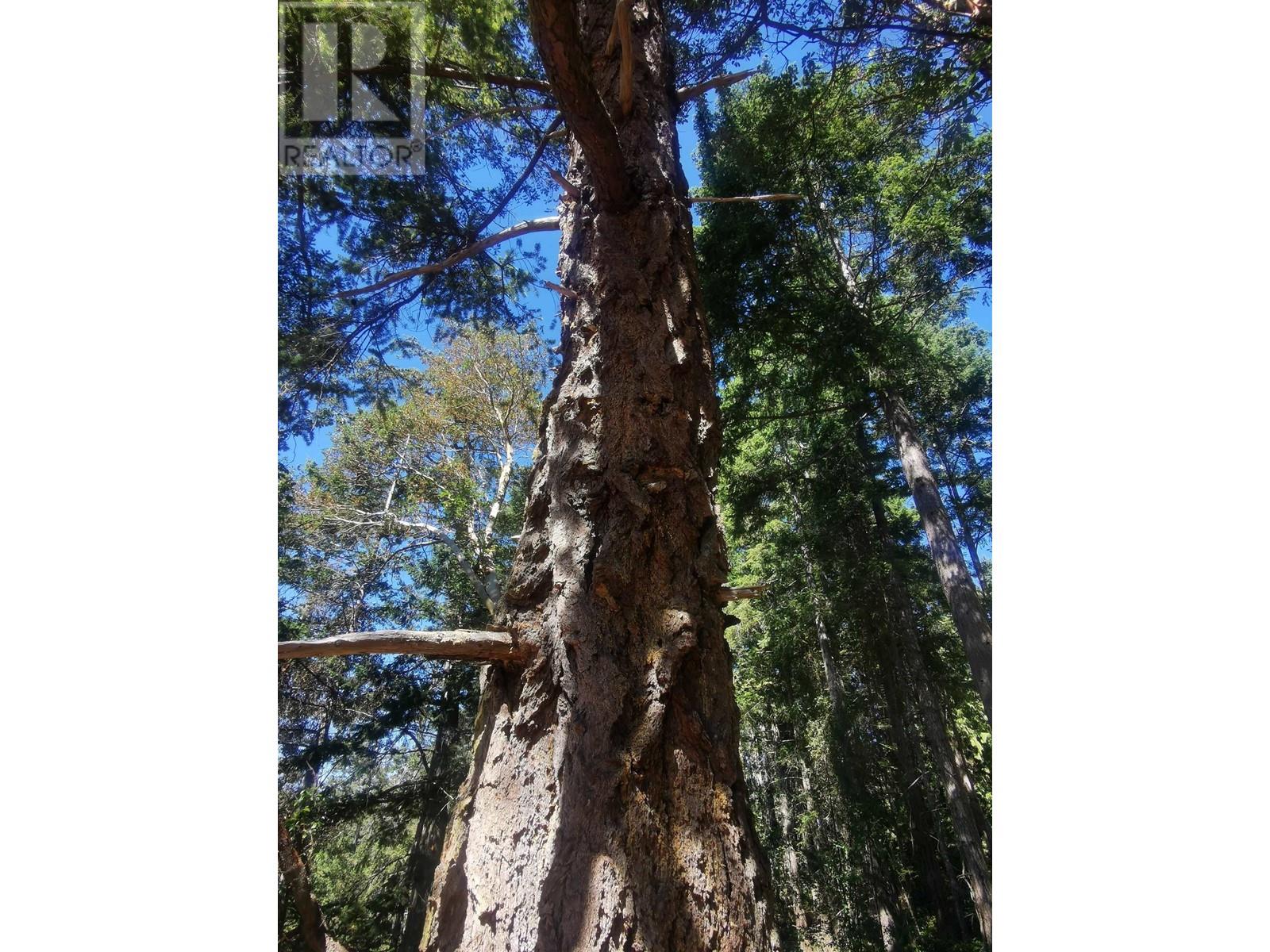 LOT 9 BEECHWOOD DRIVE, Mayne Island