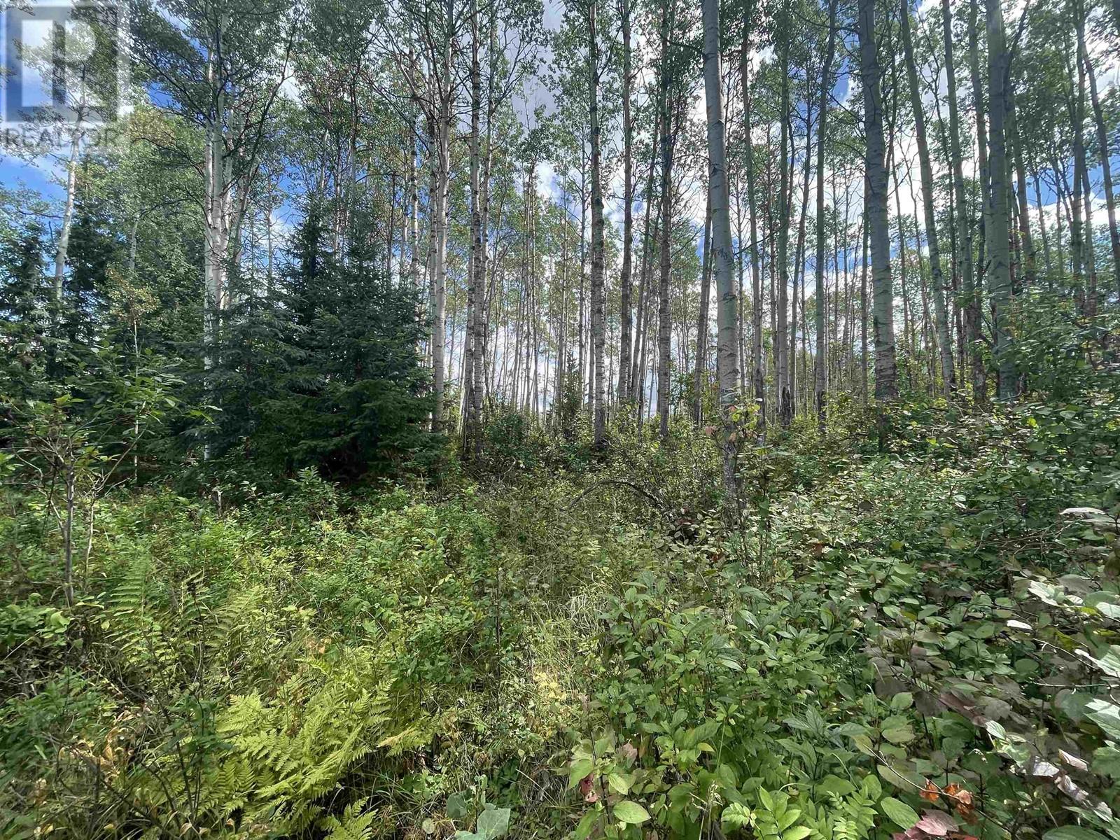 LOT 16 HUDSON BAY MOUNTAIN Road, Smithers