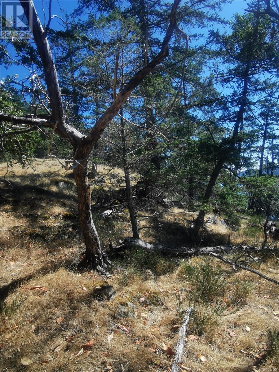  Lot 9 Beechwood Drive, Mayne Island