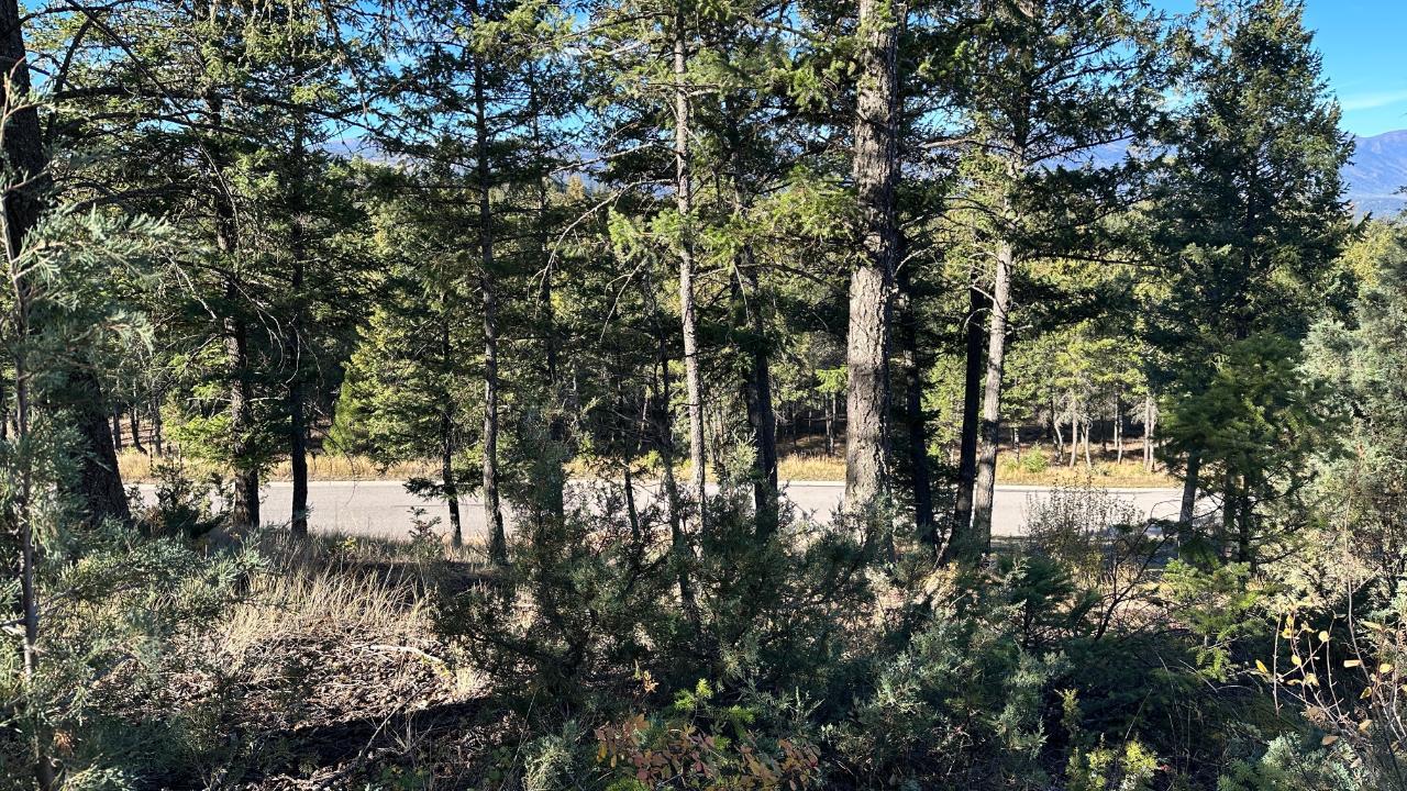 Lot 20 CROOKED TREE PLACE, Fairmont Hot Springs