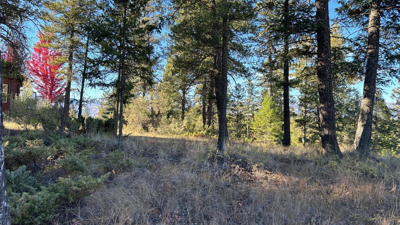 Lot 20 CROOKED TREE PLACE, Fairmont Hot Springs