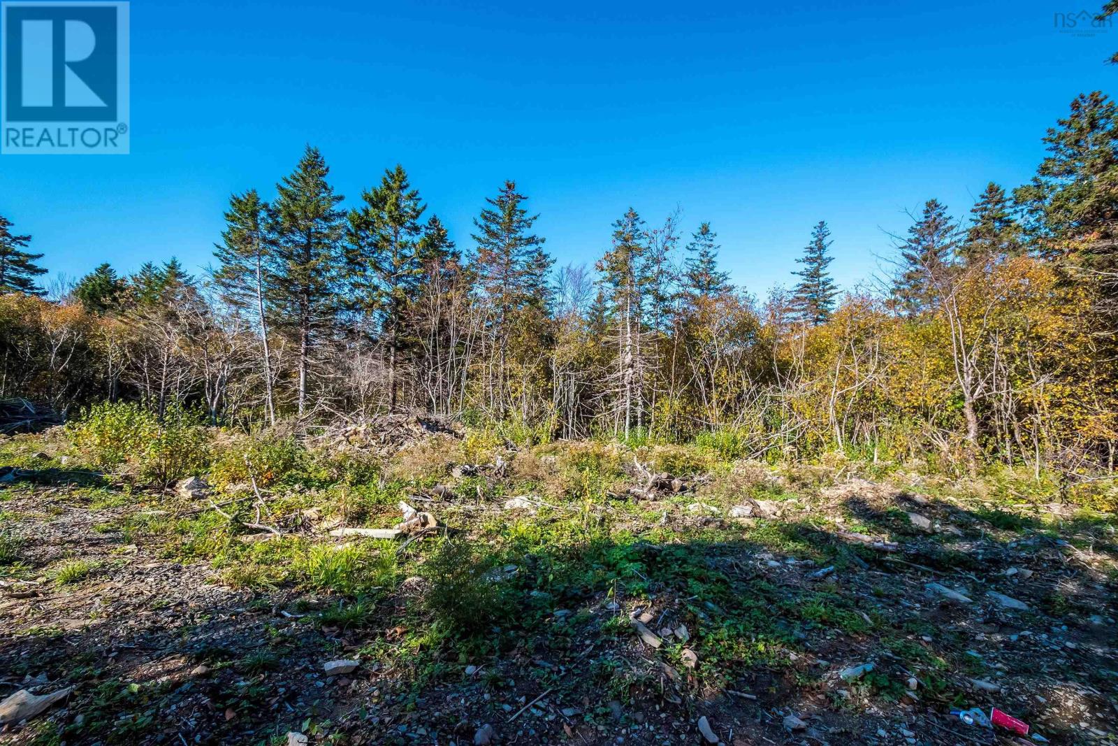 381 Marshalltown Road, Marshalltown, NS B0V 1A0 MLS202323149