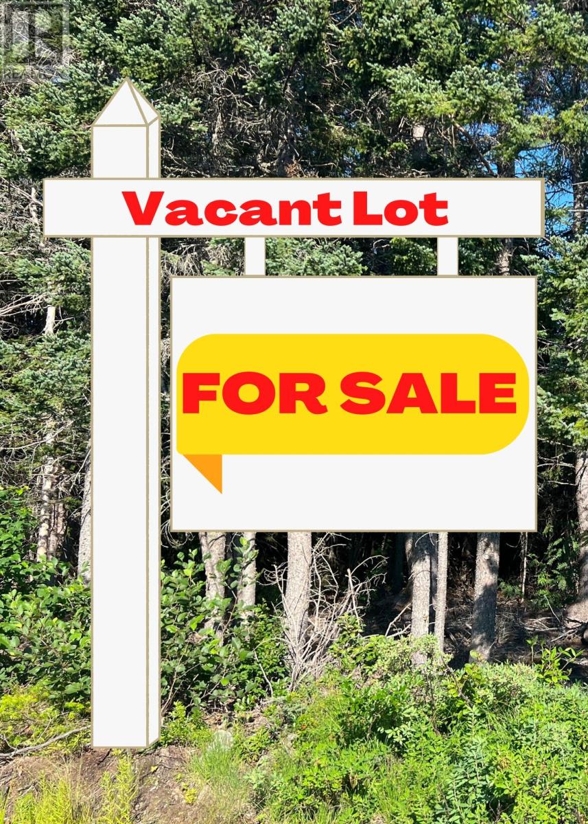 Vacant Land For Sale | Lot B Powers Lane | Flatrock | A1K1C6
