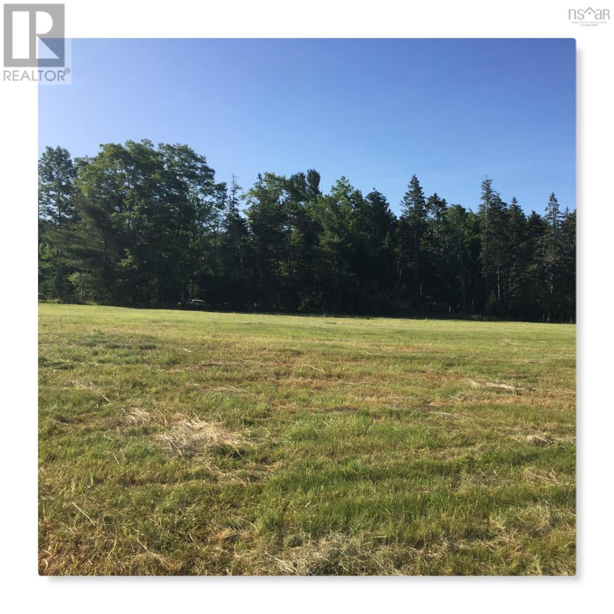 Vacant Land For Sale | Lot 8 Pine Meadows Pine Meadows Subdivision | Pine Grove | B0J1E0