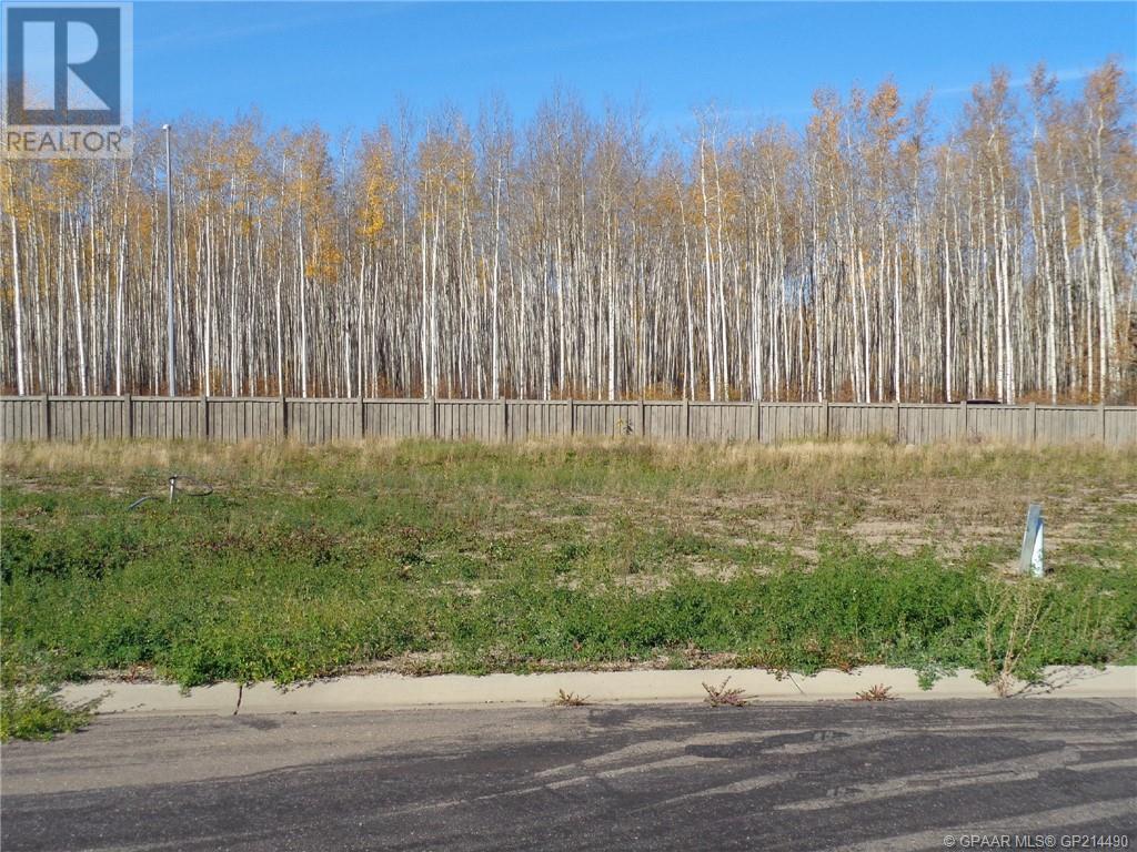 Vacant Land For Sale | 21 Bear Creek Drive | High Level | T0H1Z0