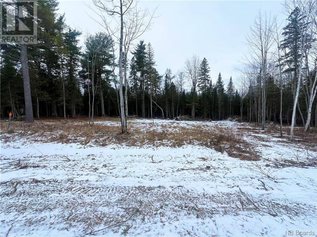 355 Haggerty Street, North Tetagouche, NB E2A 4Y9 MLSNB094332