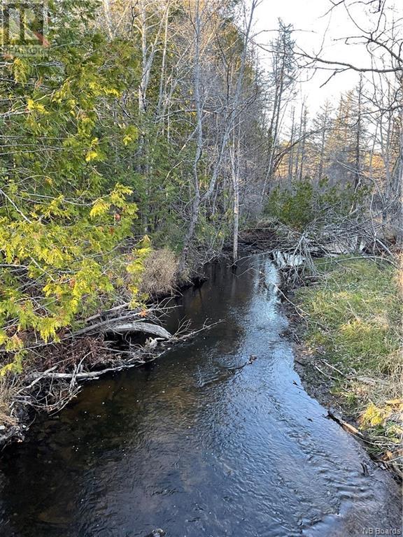 Photo 22 of 1050 Riviere A La Truite, Rivierealatruite NB