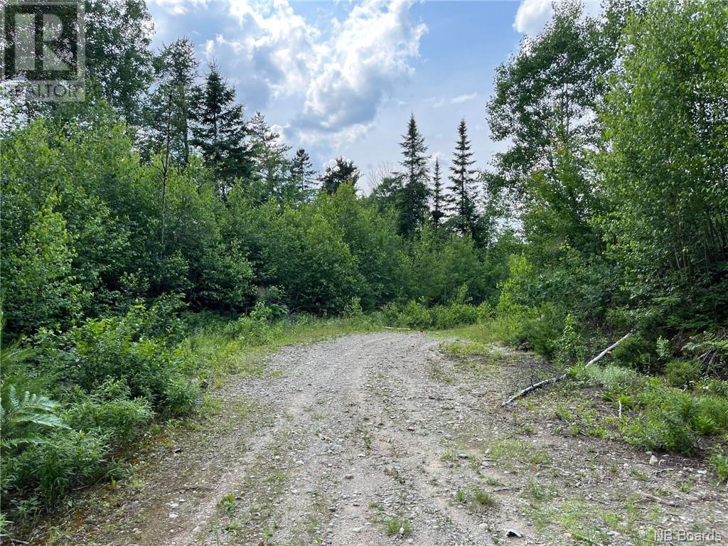 Photo 10 of 75 Acres Johnson Bridge Road, Sillikers NB