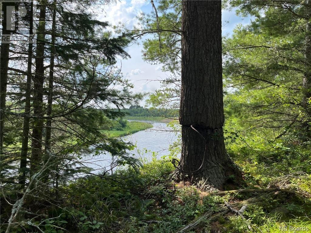 Photo 12 of 75 Acres Johnson Bridge Road, Sillikers NB