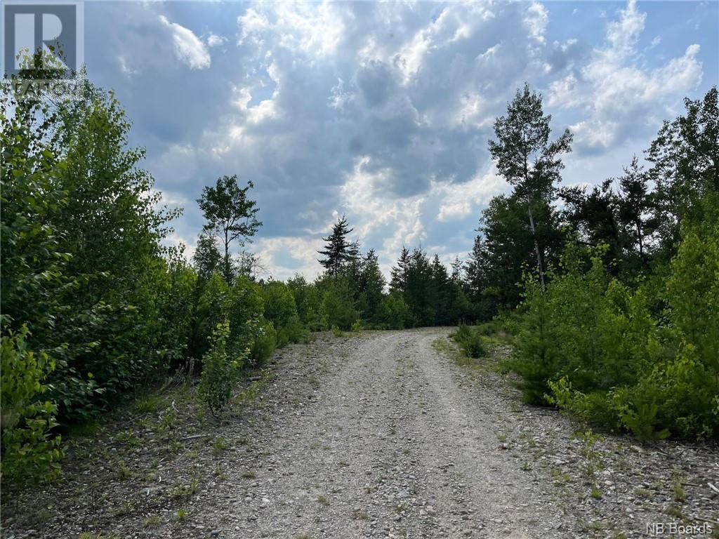 Photo 7 of 75 Acres Johnson Bridge Road, Sillikers NB
