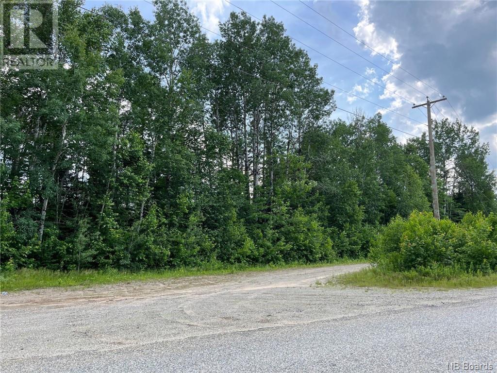 Photo 8 of 75 Acres Johnson Bridge Road, Sillikers NB