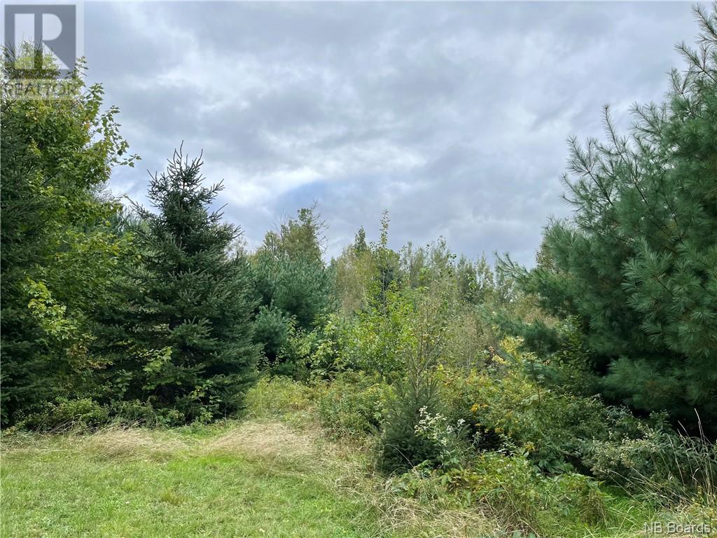 Photo 5 of 2 Acres Craigville Road, Miramichi NB