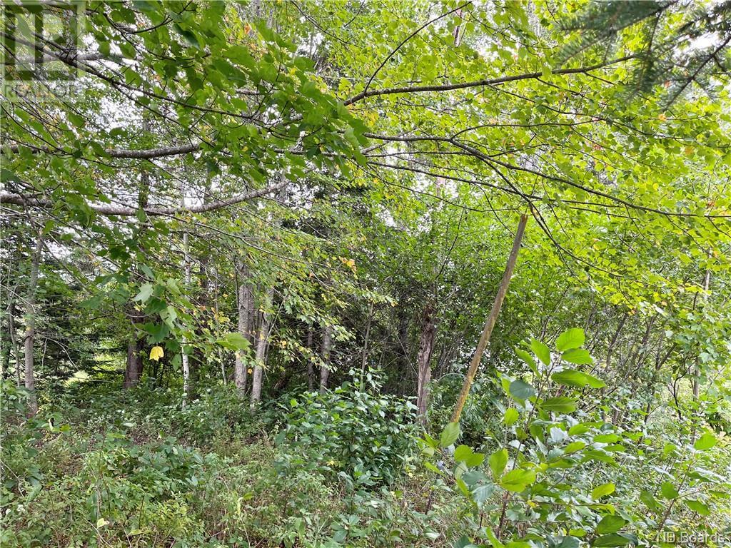 Photo 7 of 2 Acres Craigville Road, Miramichi NB