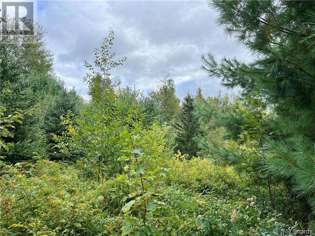 Photo 1 of 2 Acres Craigville Road, Miramichi NB