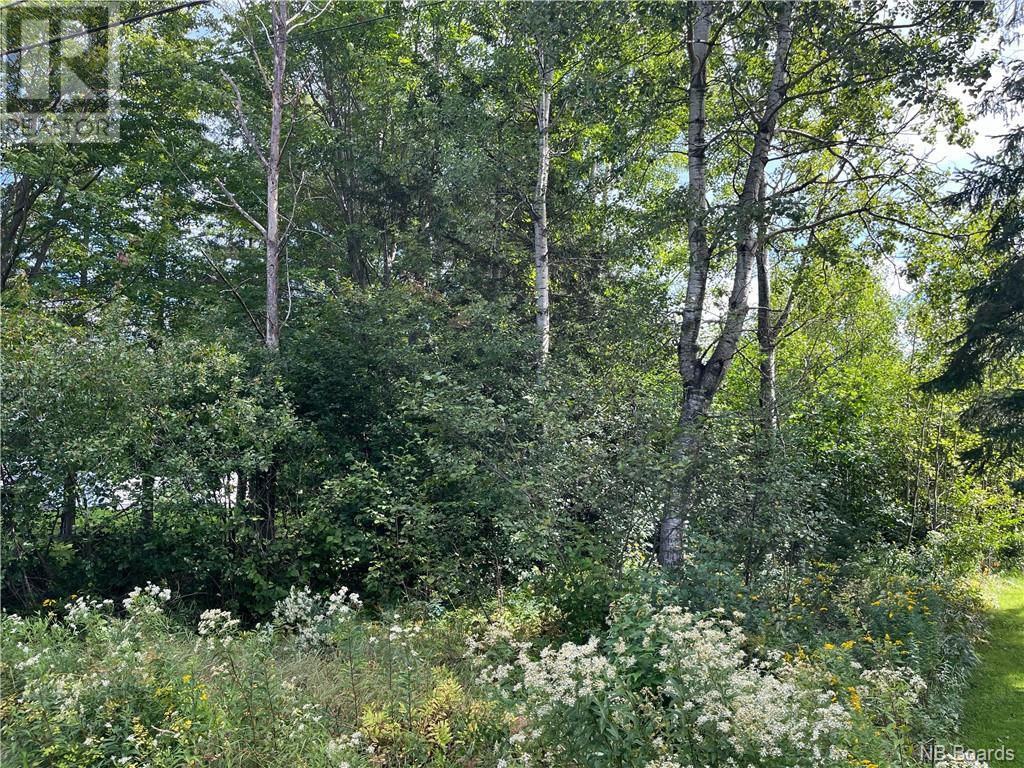 Photo 4 of 2 Acres Craigville Road, Miramichi NB