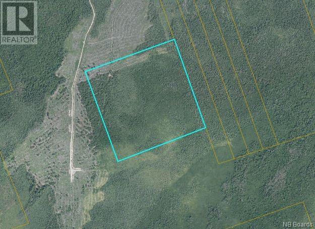 Vacant Land For Sale | 50 Acres Route 117 | Hardwicke | E9A1L6