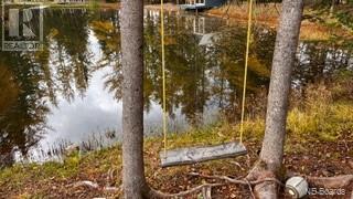 Photo 12 of Route 17, Saintleonard NB