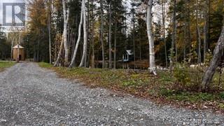Photo 38 of Route 17, Saintleonard NB