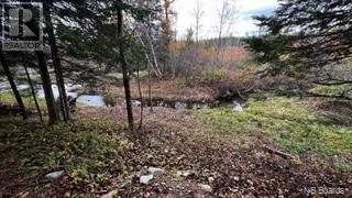 Photo 32 of Route 17, Saintleonard NB