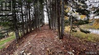 Photo 35 of Route 17, Saintleonard NB