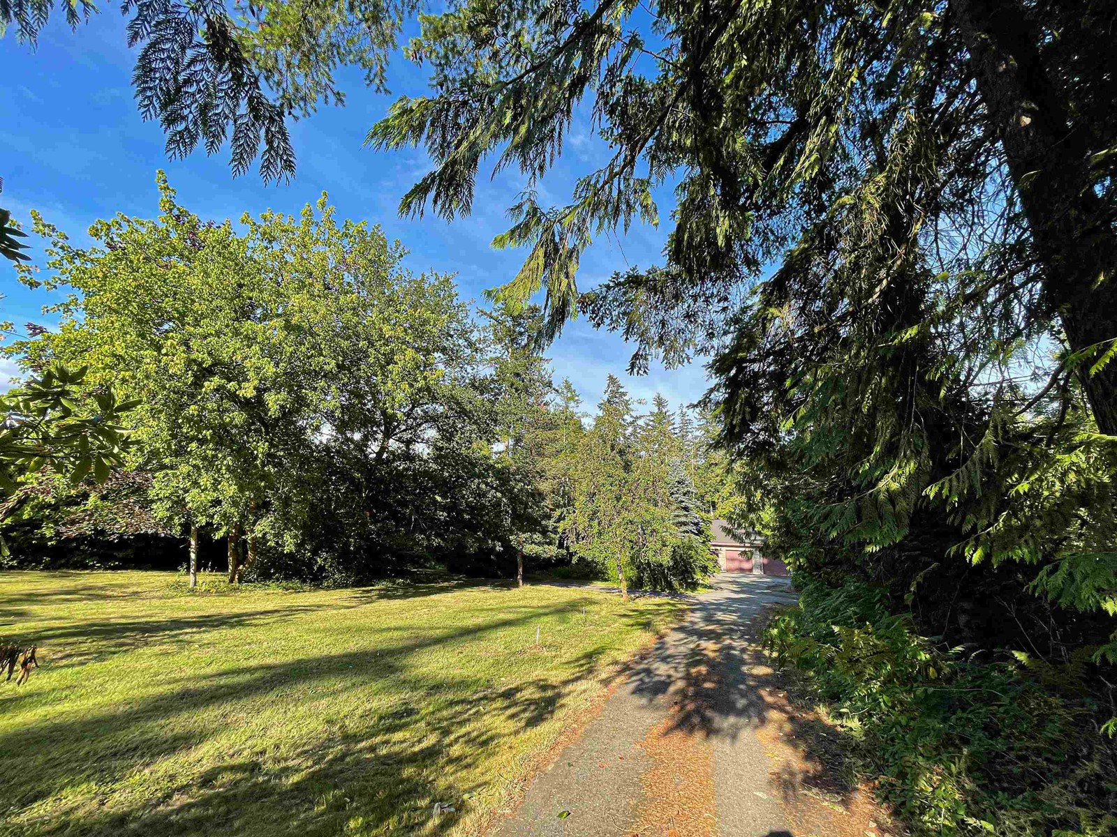 4182 216 STREET, Langley real estate listing R2798346