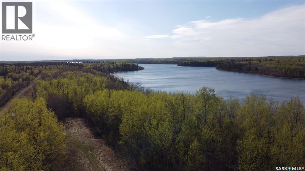 Vacant Land For Sale | Lot 10 Lakeshore Drive | Loon Lake Rm No 561 | S0M1L0