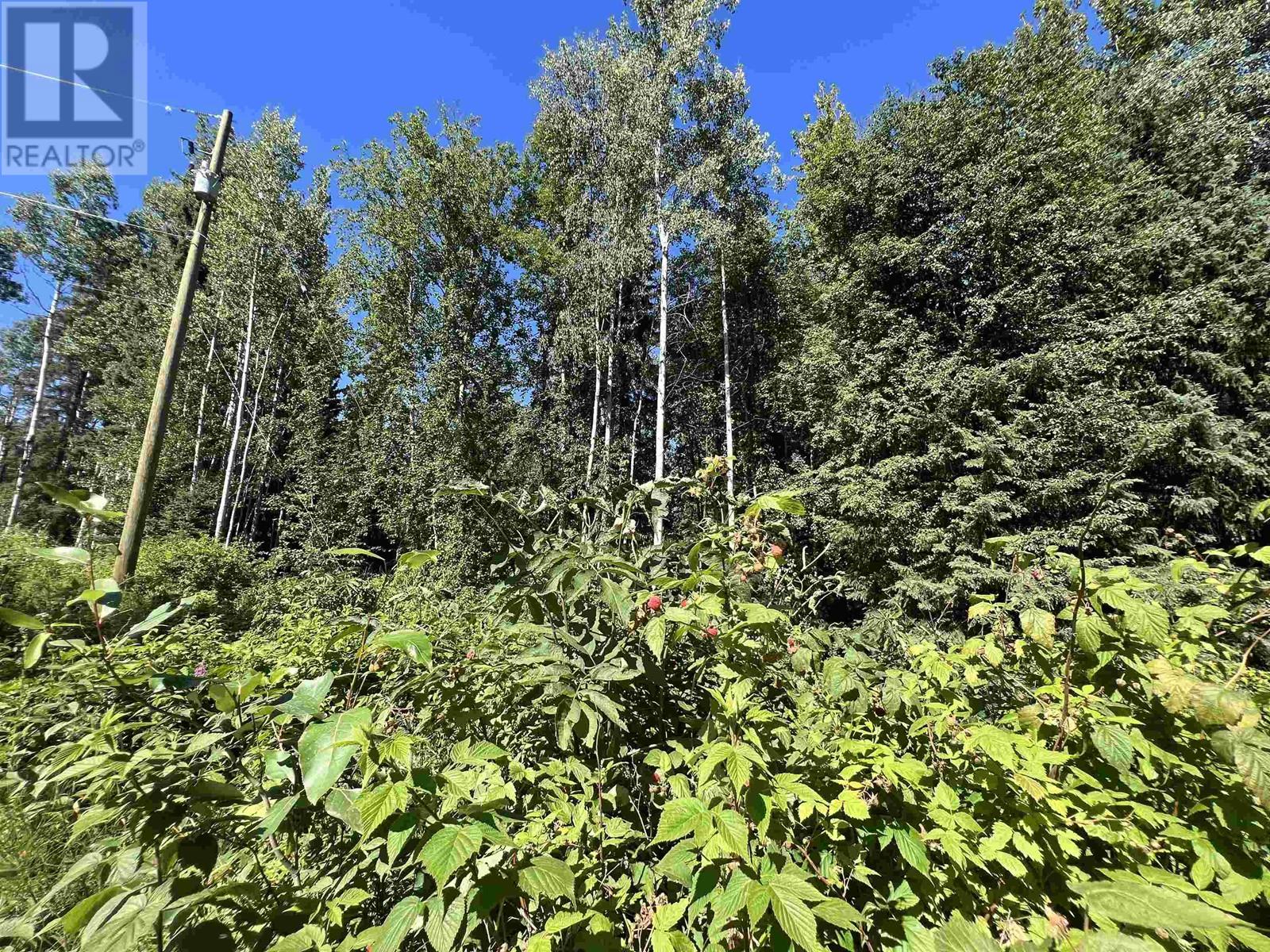 #1-3000 DAHLIE Road, Smithers