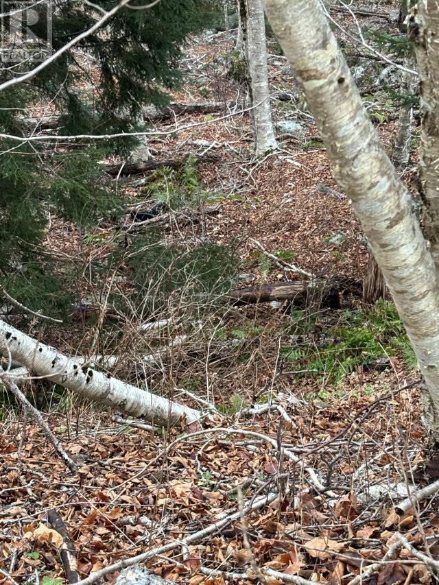 49 Faber Crescent, Lake Echo, NS B3E 1B2 MLS202401191