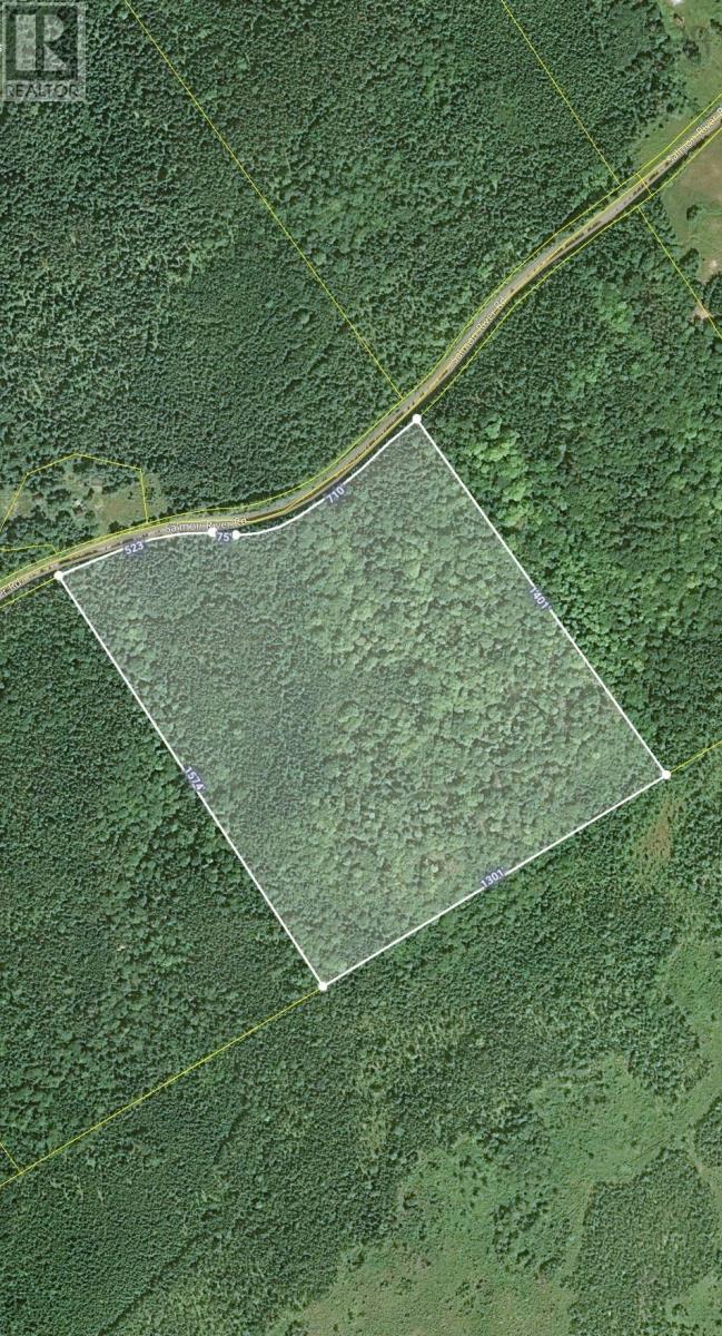 Vacant Land For Sale | Salmon River Road | Enon | B1J1X4