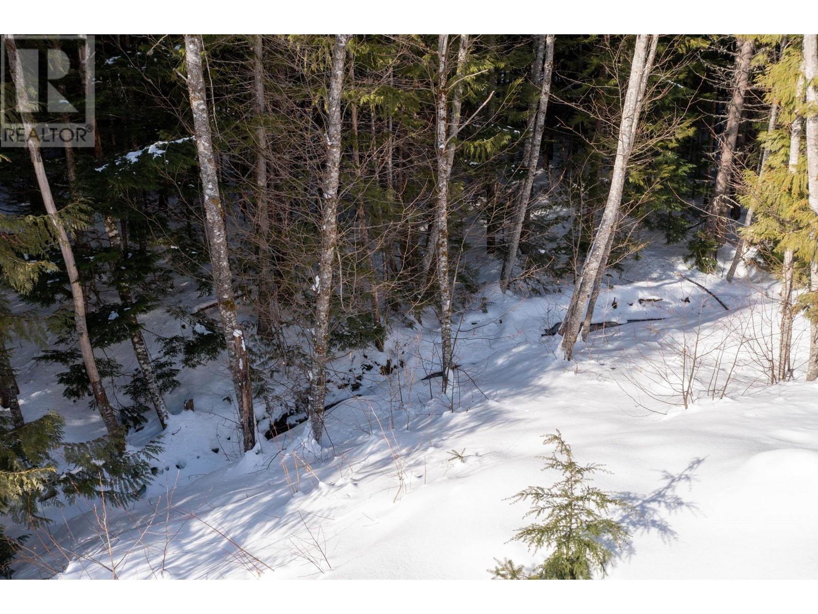 8648 LAKEWOOD COURT, Whistler real estate listing R2853797