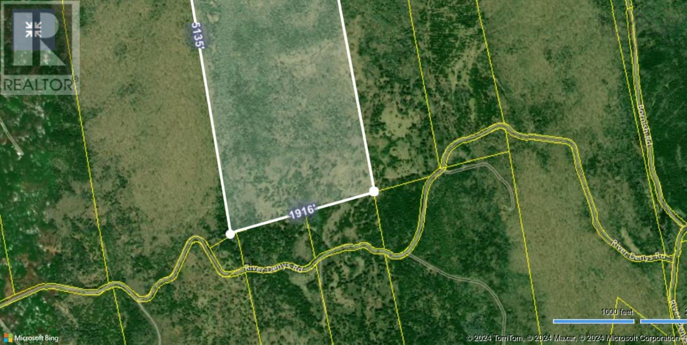 220 acres River Denys Road, River Denys, NS B0E 2Y0 MLS202403759
