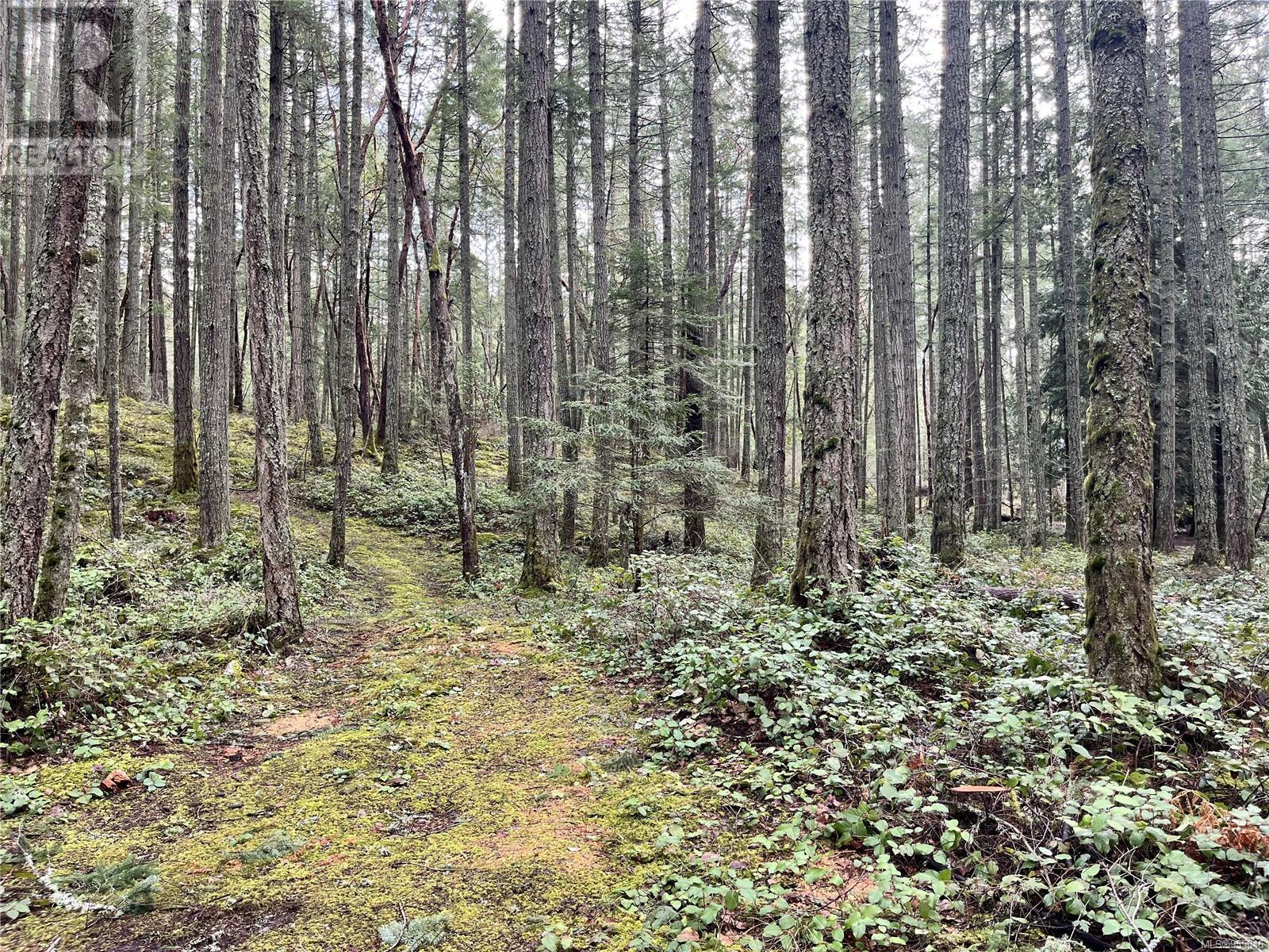 Lot B Alec Rd, Central Saanich