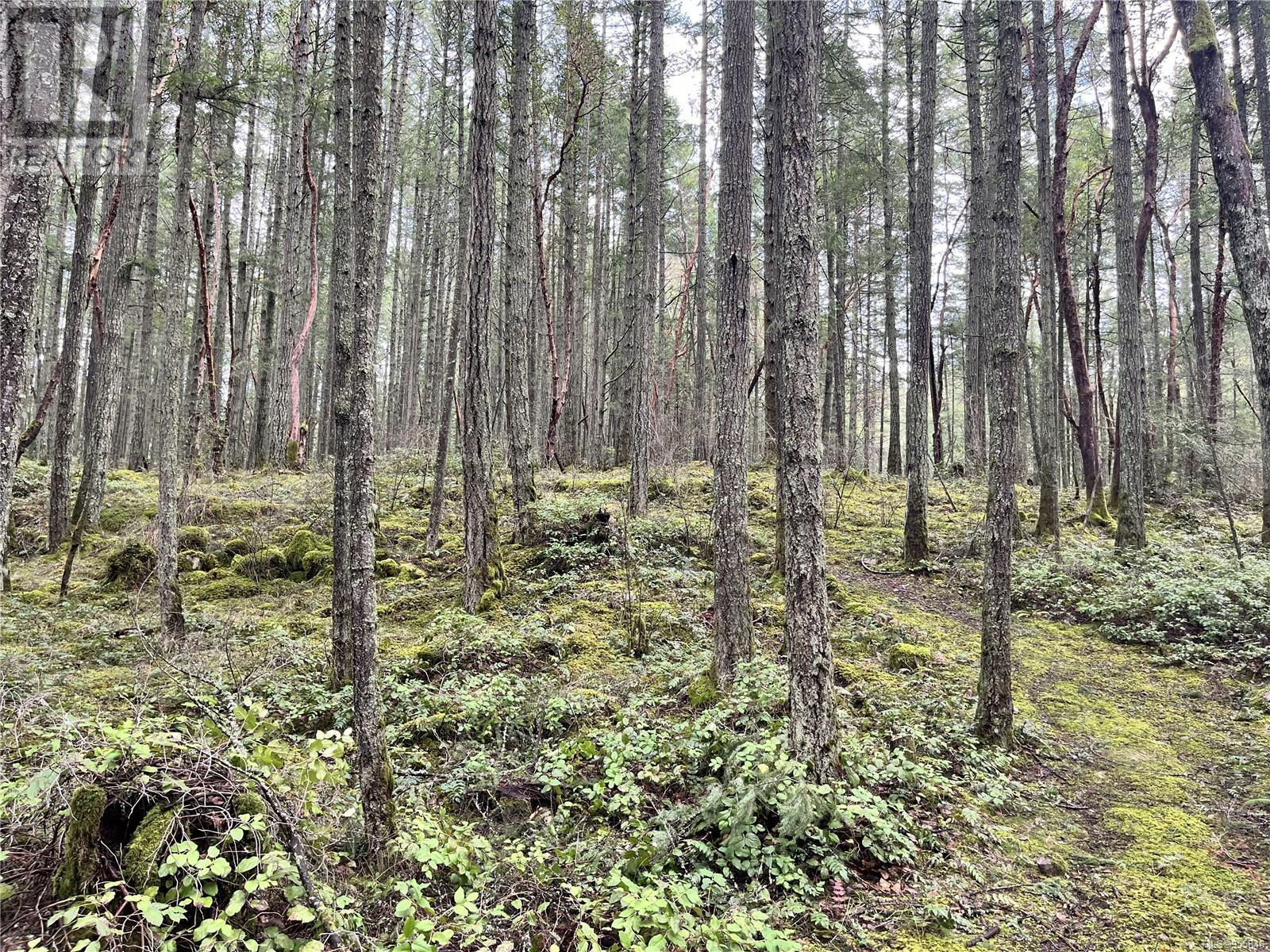 Lot B Alec Rd, Central Saanich