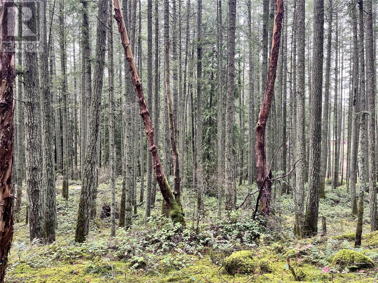 Lot B Alec Rd, Central Saanich