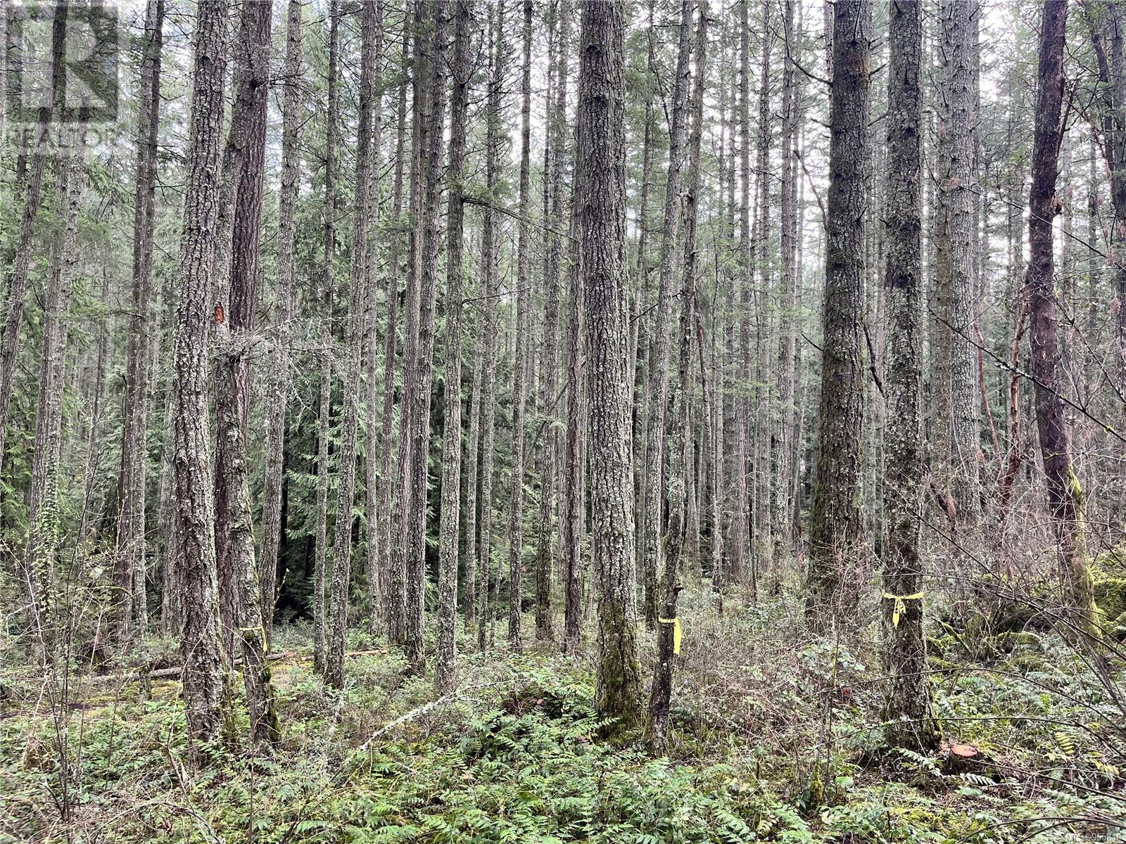  Lot B Alec Road, Central Saanich