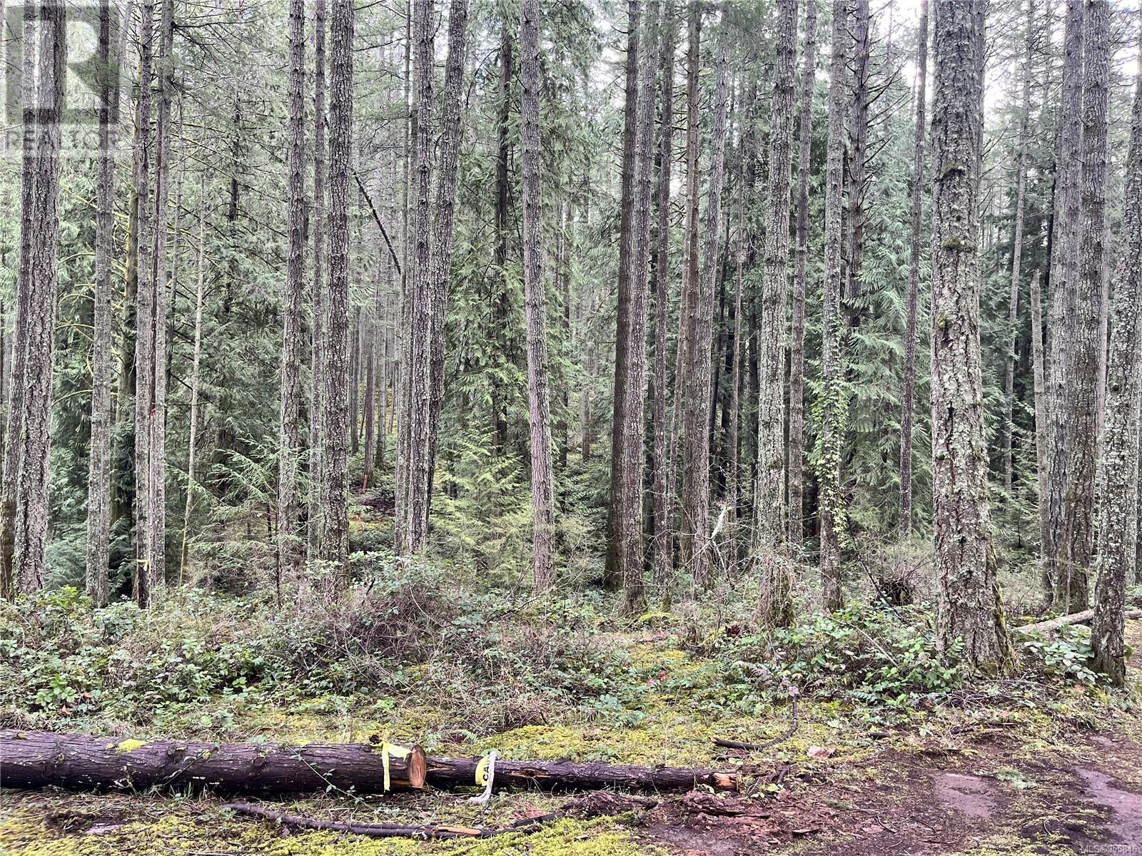 Lot B Alec Rd, Central Saanich