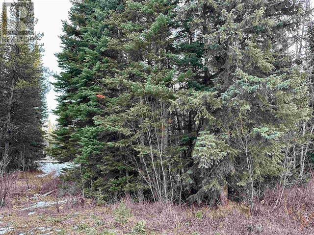 Photo 6 of Lot 2 Kreitz Road, Prince George BC