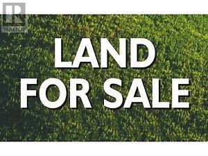 Vacant Land For Sale | 0 Main Road | Harbour Grace | A0A2N0