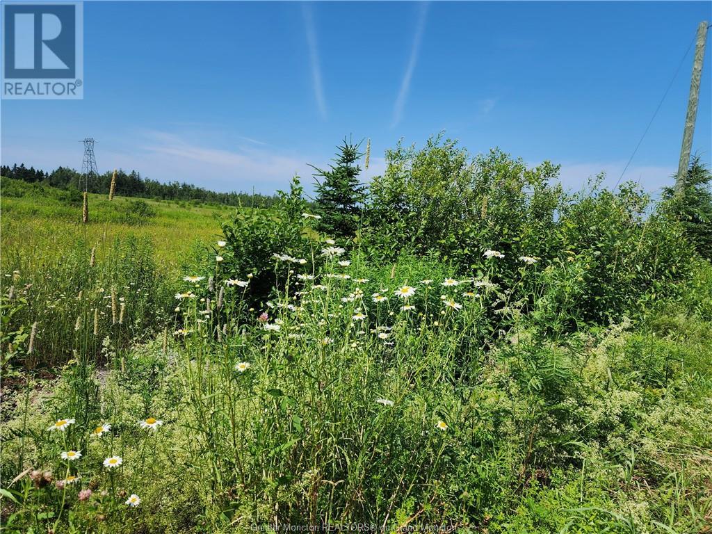 40 Will Rogers RD, Steeves Mountain, NB E1G 2X7