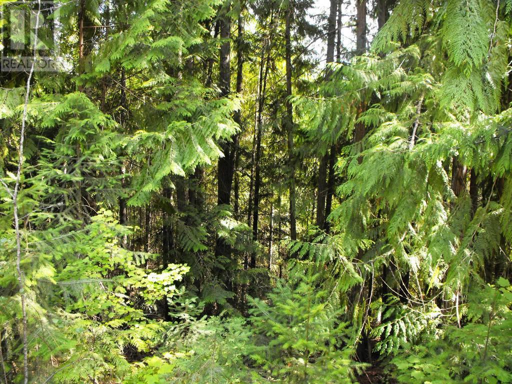 Photo 5 of Lot 57 Lonneke Trail, Anglemont BC