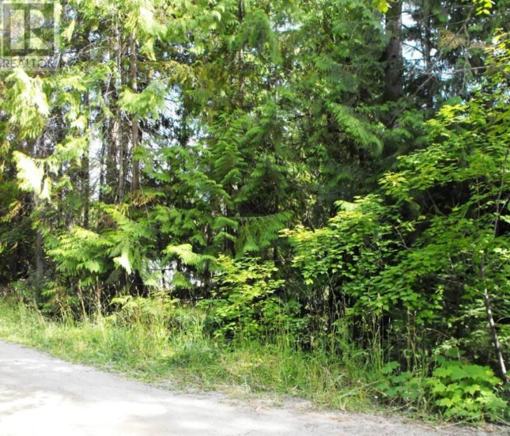 Photo 4 of Lot 57 Lonneke Trail, Anglemont BC