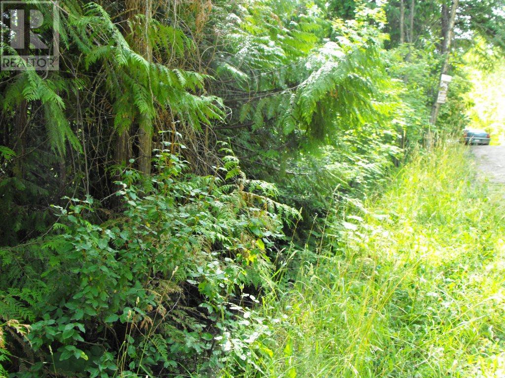 Photo 7 of Lot 57 Lonneke Trail, Anglemont BC