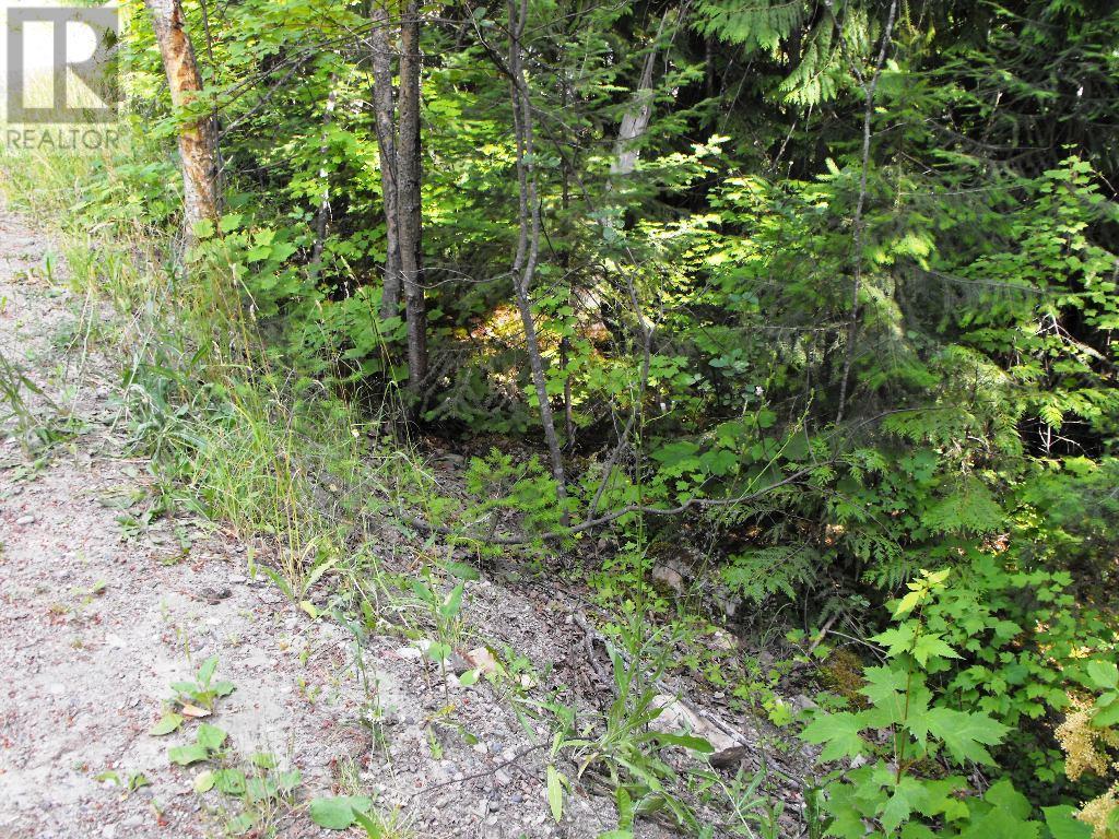 Lot 57 Lonneke Trail, Anglemont