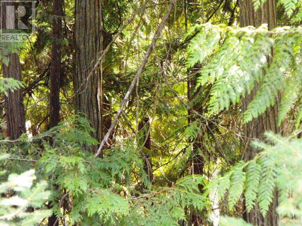 Lot 57 Lonneke Trail, Anglemont