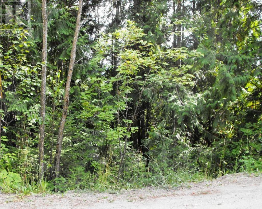 Lot 57 Lonneke Trail, Anglemont