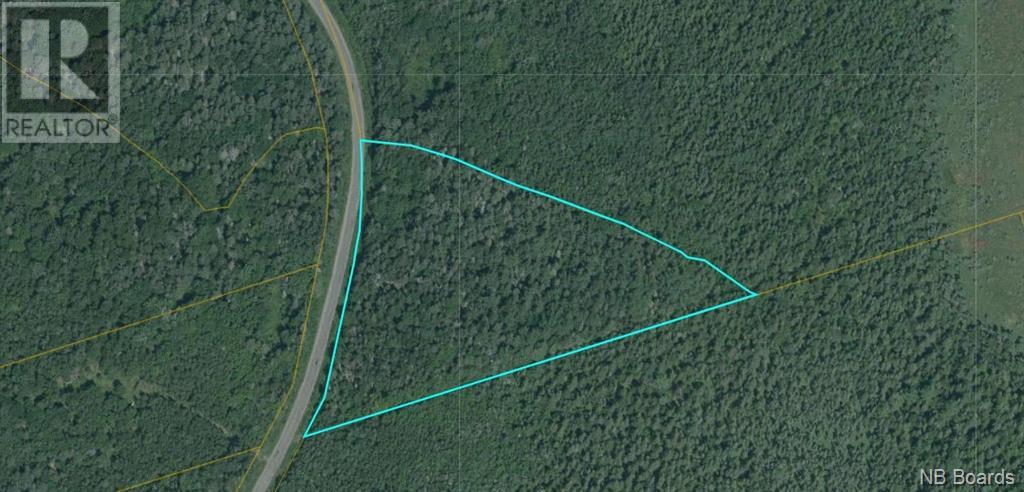 Vacant Land For Sale | Lot Beersville Back Road | Beersville | E4T2P6
