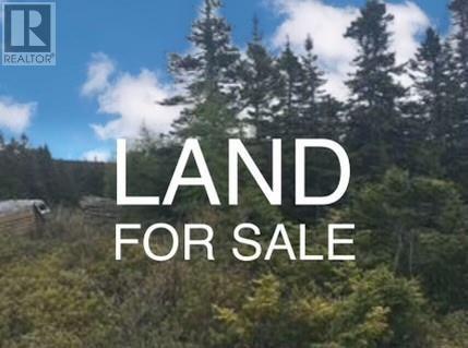 Vacant Land For Sale | 4 Purcells Road | Holyrood | A0A2P0