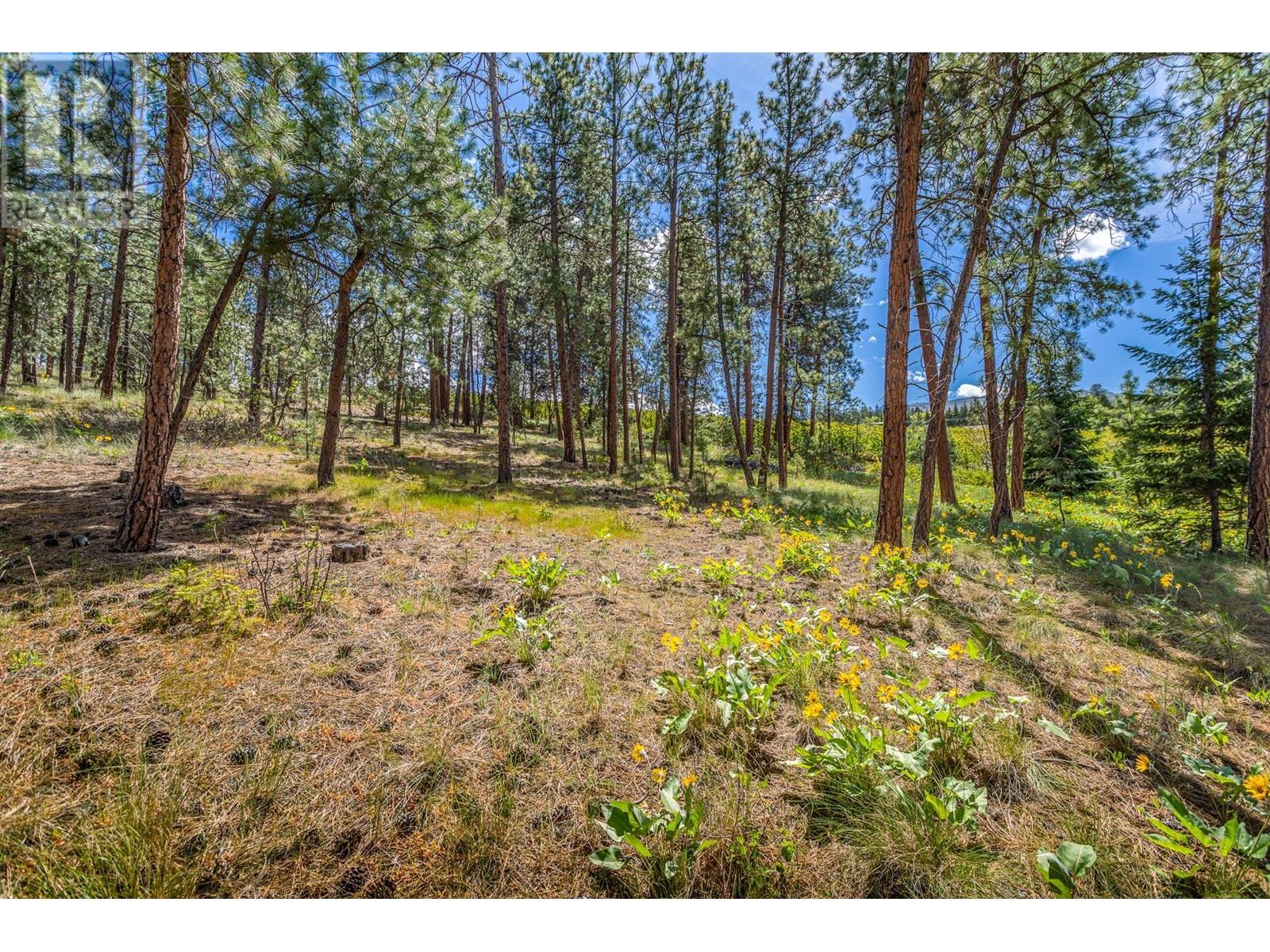 4729 Lakeshore Road - 71